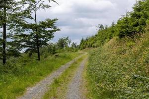 road in the landscape photo