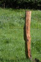 fence with wooden pole photo