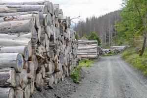 Beautiful view of stack of sawn spruce wood photo