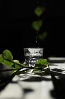Sparkling water being poured into a glass against a black background. a glass of water on a dark background among the green leaves. Eco concept photo
