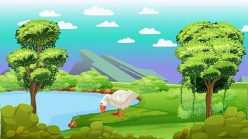 Duck Cartoon Stock Video Footage for Free Download Duck Cartoon Stock Video Footage for Free Download