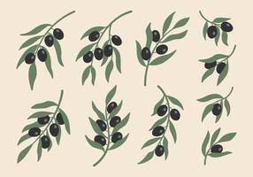 Collection of abstract boho minimalist black olive branches. Botanical plants in pastel colors. vector