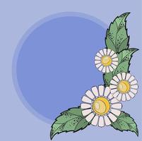 Vector illustration, a bouquet of daisies with a place for inscriptions