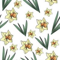 Seamless pattern, daffodil flowers with green leaves on a transparent background vector