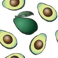 Green Avocado Fruit with slices, seamless square pattern on white background vector