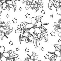Monochrome drawing, cherry blossom branch, cherry trees with stars on a transparent background. Seamless pattern. Vector illustration