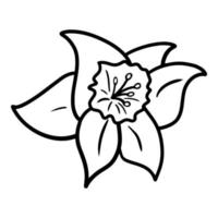 Spring flower, Simple narcissus bud, monochrome botanical vector illustration on white background
