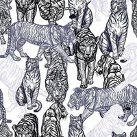 Tiger engraved seamless pattern on white background. Vintage wild animals in hand drawn style. vector