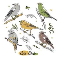 pájaros naturaleza animales ilustración. colección de lindos garabatos de pájaros dibujados a mano. estilo de línea en minimalismo en blanco. imagen vectorial vector