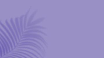 superposición de sombra de hojas tropicales de palma sobre fondo púrpura. banner de redes sociales de verano foto