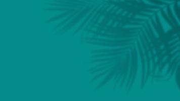Palm tropical leaves shadow overlay on green background. Social media banner summer template photo