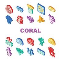 conjunto de iconos de colección de arrecifes acuáticos de mar de coral vector