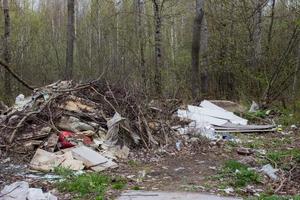 Garbage dump in the forest near the road photo