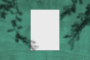 Blank white vertical rectangle poster mockup with light shadow on green concrete wall background.