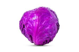 Red cabbage, isolated on the background Clipping Path photo
