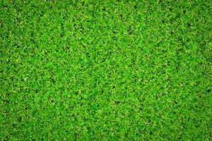 Artificial grass background photo