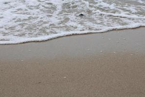 burbujas de mar de playa foto