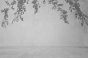 Concept of leaf shadow and light on gray cement surface. photo