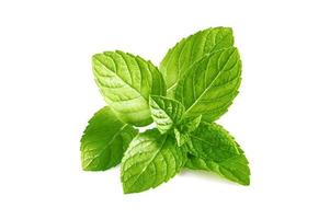 Mint leaves, mint leaves isolated on white background photo