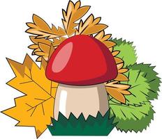 Mushroom and autumns leaf. Draw illustration in color vector