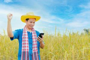 Asian peasants in robes and hats are in a field of golden rice fields. photo