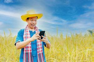 Asian peasants in robes and hats are in a field of golden rice fields. photo