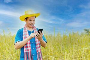 Asian peasants in robes and hats are in a field of golden rice fields. photo