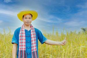 Asian peasants in robes and hats are in a field of golden rice fields. photo