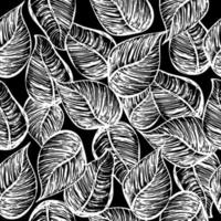 patrón vectorial sin costuras con lindas hojas de contorno de garabato. vector