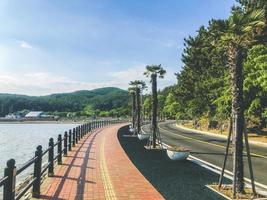 Beautiful promenade with palm trees. South Korea