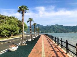 precioso paseo marítimo con palmeras. Corea del Sur foto
