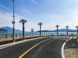 Beautiful promenade with palm trees. South Korea photo
