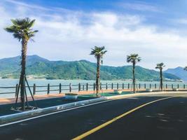 Beautiful promenade with palm trees. South Korea