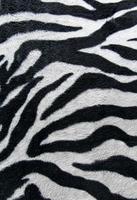 texture of print fabric stripes zebra for background photo