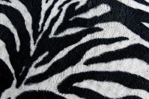 texture of print fabric stripes zebra for background photo