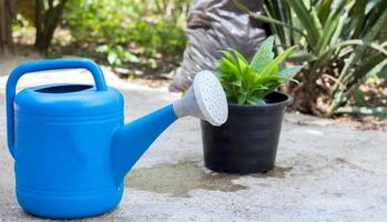 Blue plastic watering can on cement floor photo