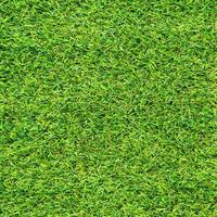 Green grass texture for background. Green lawn pattern and texture background. photo