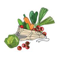 bolsa de malla de algodón con ilustración de dibujos animados de vector de verduras frescas de colores aislado sobre fondo blanco. concepto de compras ecológicas y estilo de vida saludable.concepto de cero residuos.dibujo de alimentos frescos