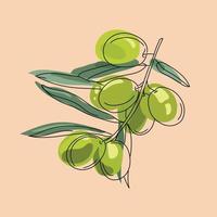Green olive branch in modern style style on pastel background vector graphic.Isolated vector icon template. design template. Fresh organic vegetable. hand drawn illustration. Vegetarian healthy food.