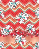 Pattern design with flowers, zig zag stripes and gingham pattern in decorated border design, for textiles and decoration vector