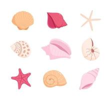 Set of sea shells and starfishes vector