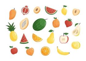 Set of colorful fruits and berries vector