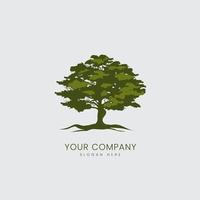 A big tree of Oak logo vector design and huge isolated tree icon illustration