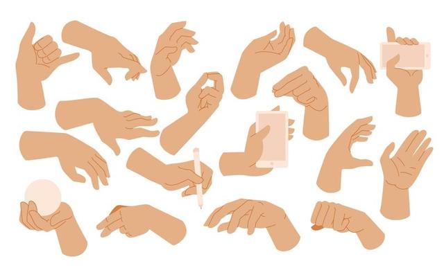 Flat hands. Man hand with various gestures and fist. Open palm victory and  thumbs up, pointing finger sign. Holding and giving arm vector set 21072216  Vector Art at Vecteezy