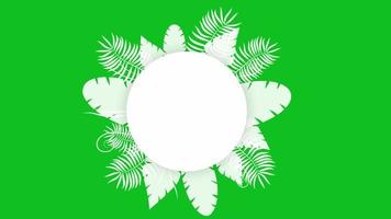 Bewegungsgrafik verschiedener Arten von Blättern im Konzept des Dschungels mit kreisförmigem Platz für Text video