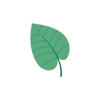 logotipos de vector de elemento de naturaleza de ecología de hoja de árbol verde