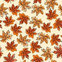 Autumn Leaf pattern seamless vector