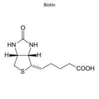 Skeletal formula of molecule. vector