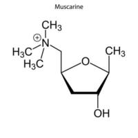 Skeletal formula of chemical molecule. vector