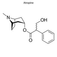 Skeletal formula of chemical molecule. vector